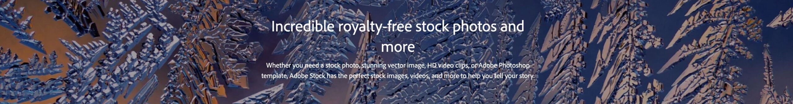 Portfolio Logo Image