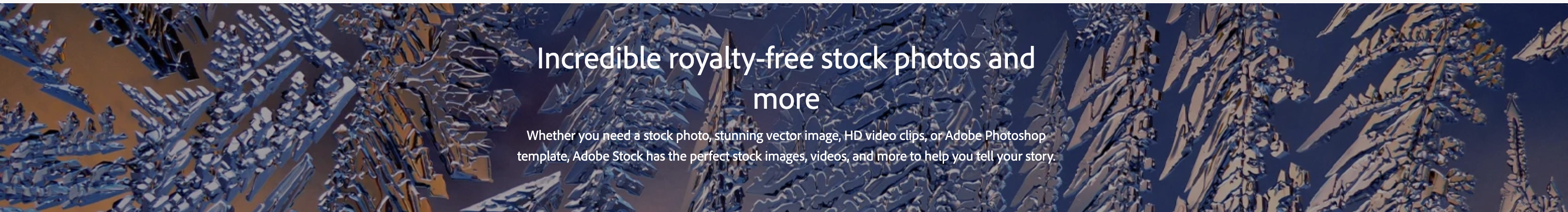 Portfolio Logo Image
