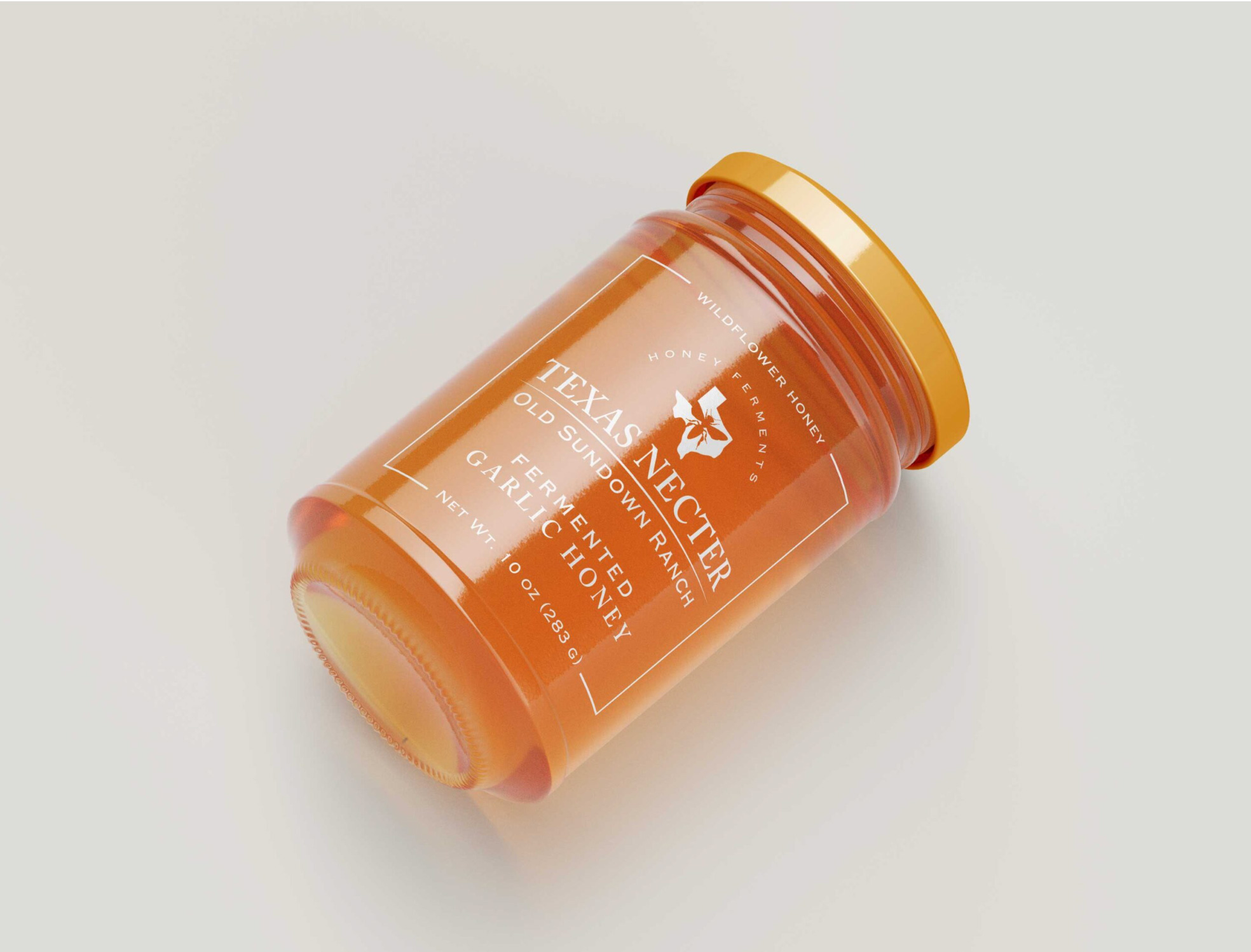 Portfolio Logo Image