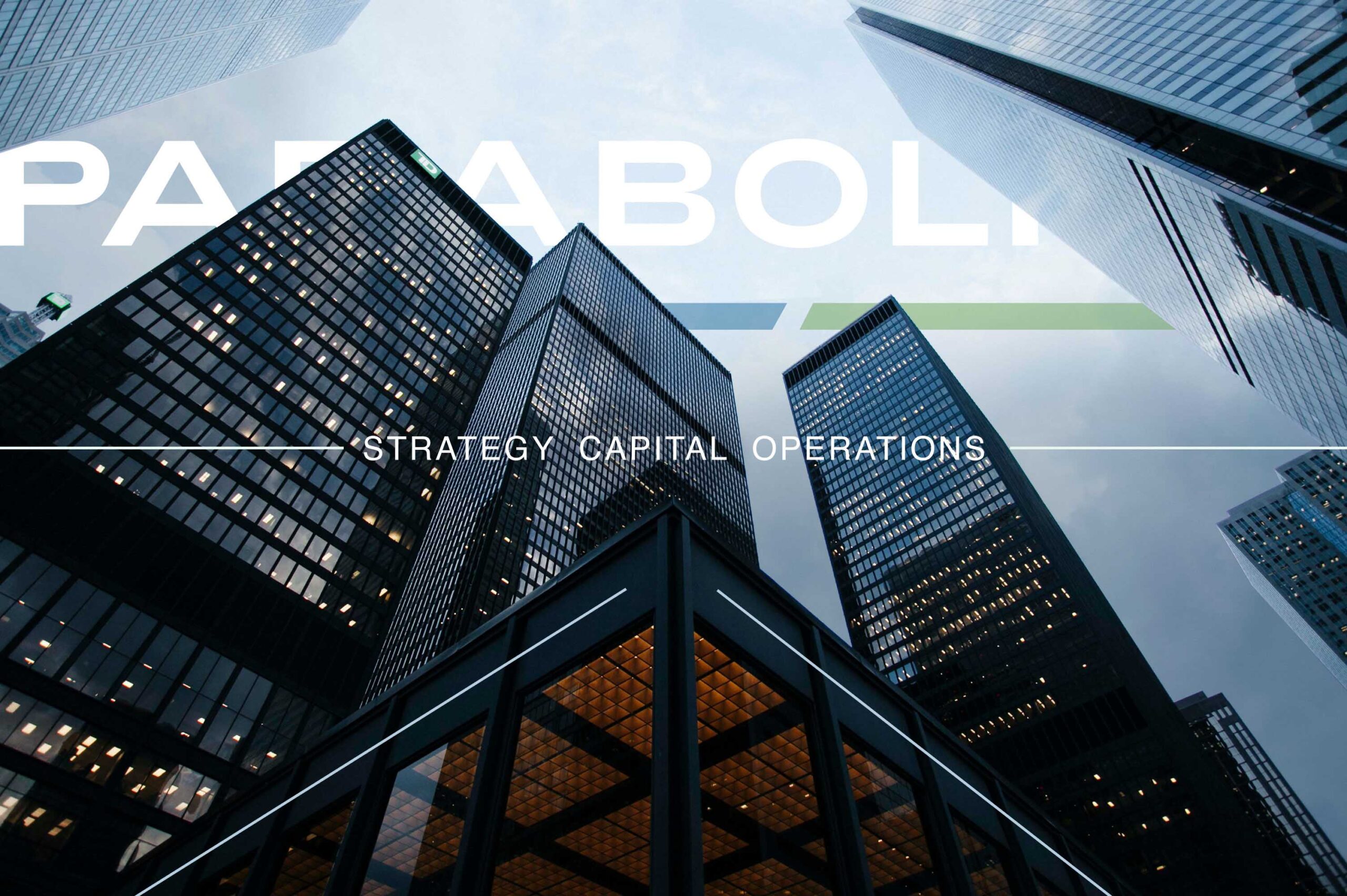 Portfolio Logo Image