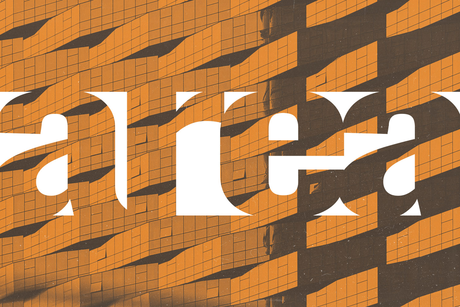 Portfolio Logo Image