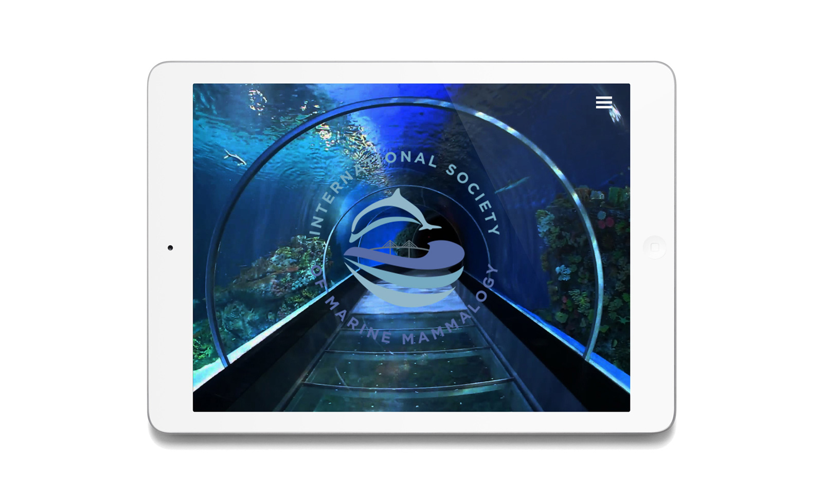 Portfolio Logo Image