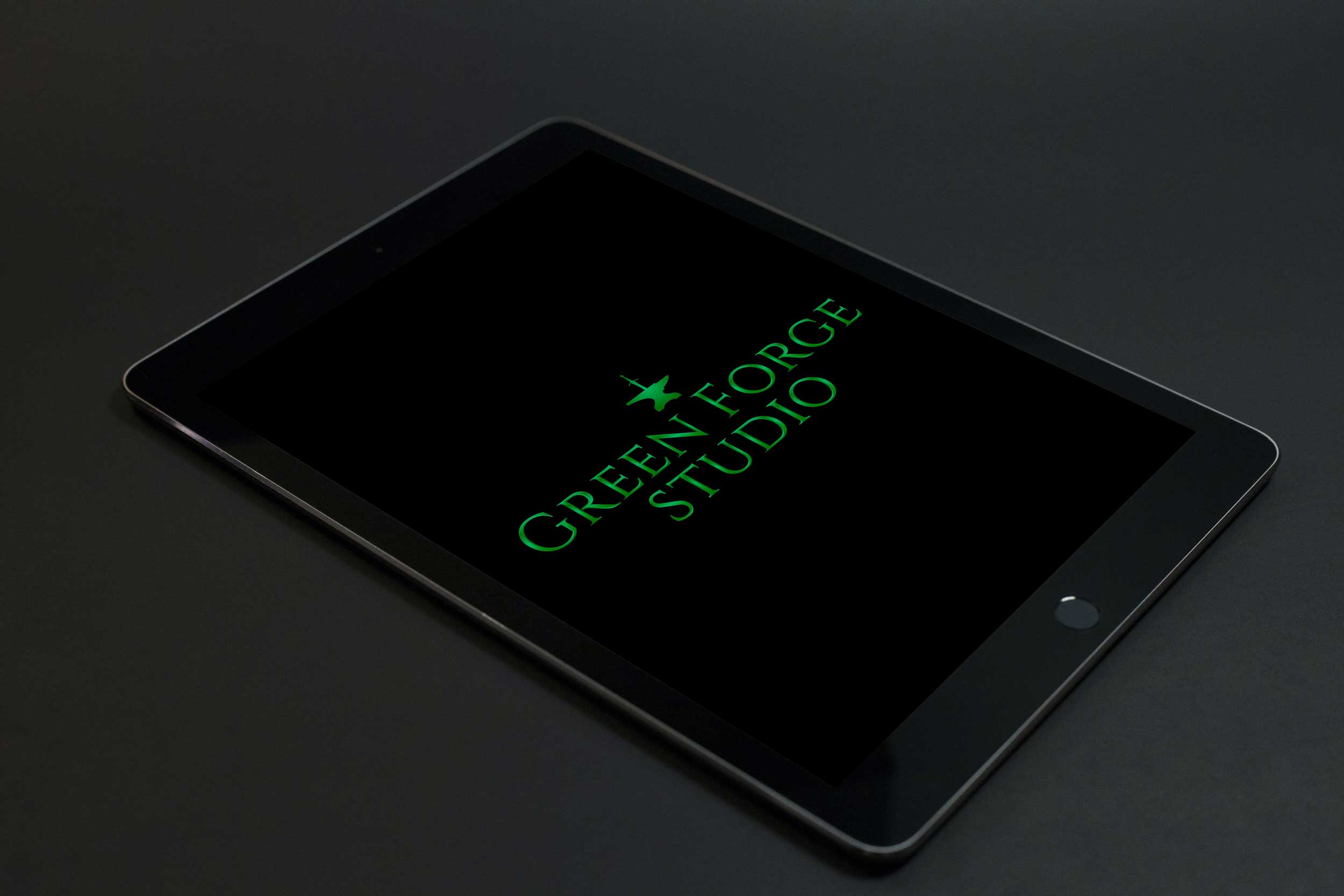 Portfolio Logo Image