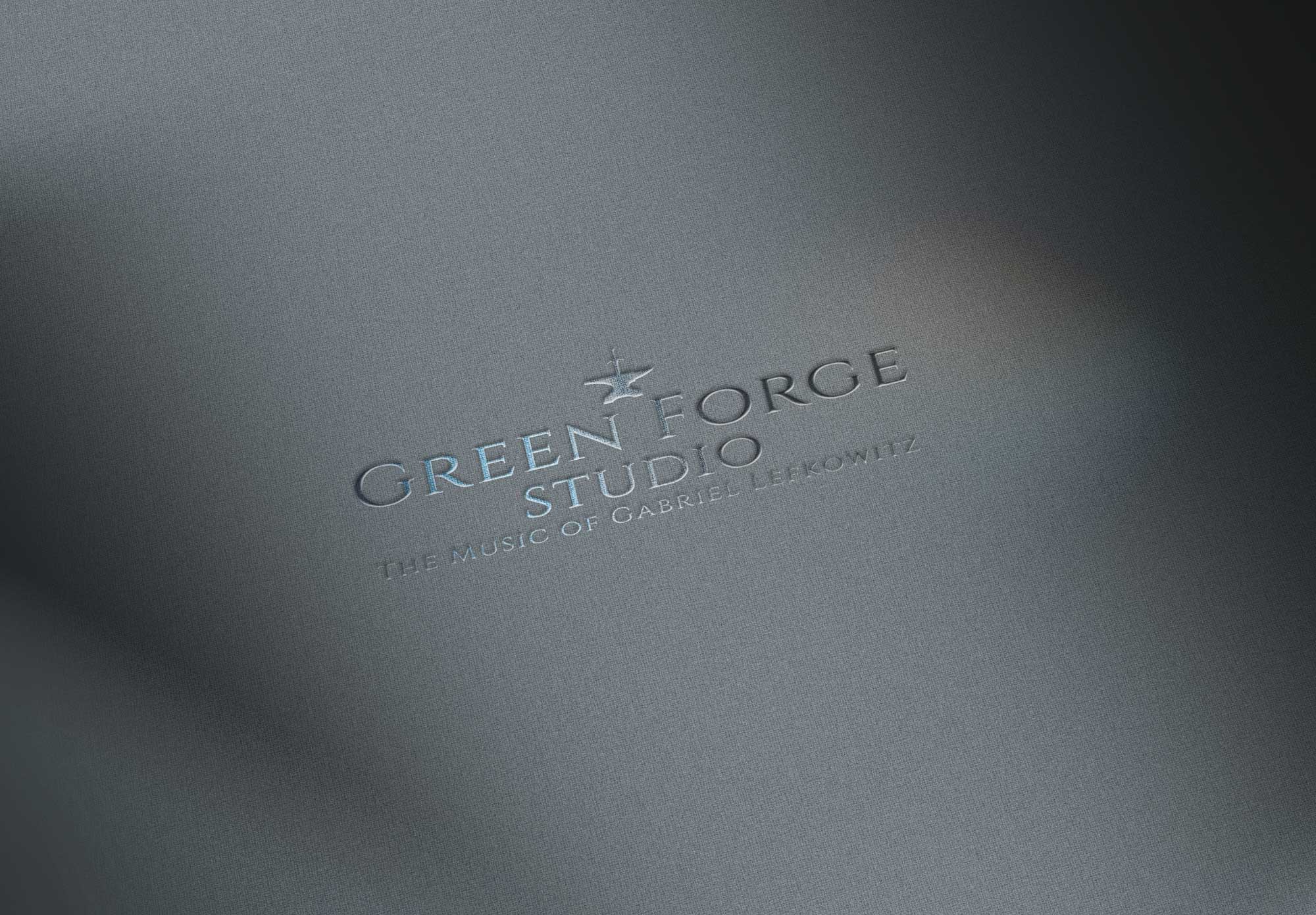 Portfolio Logo Image
