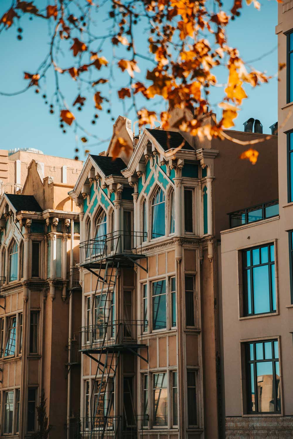 Portfolio Logo Image