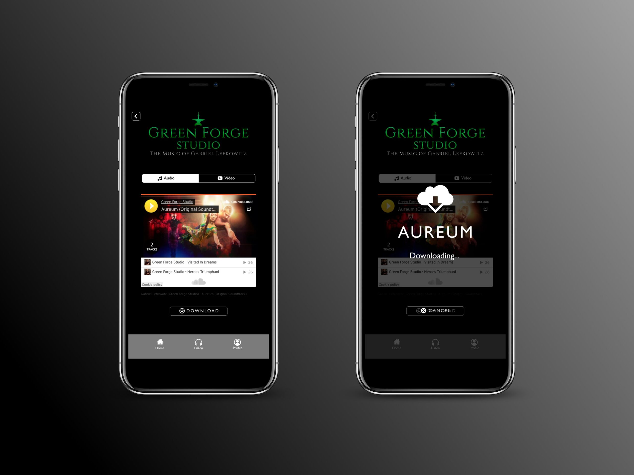 Portfolio Logo Image