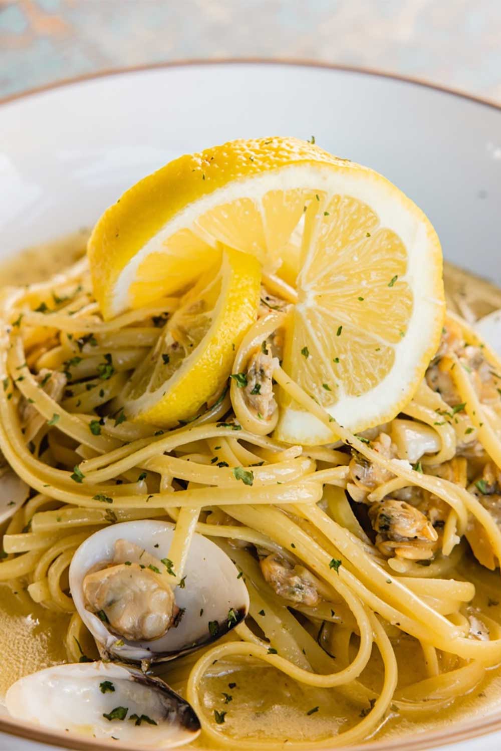 Portfolio Logo Image